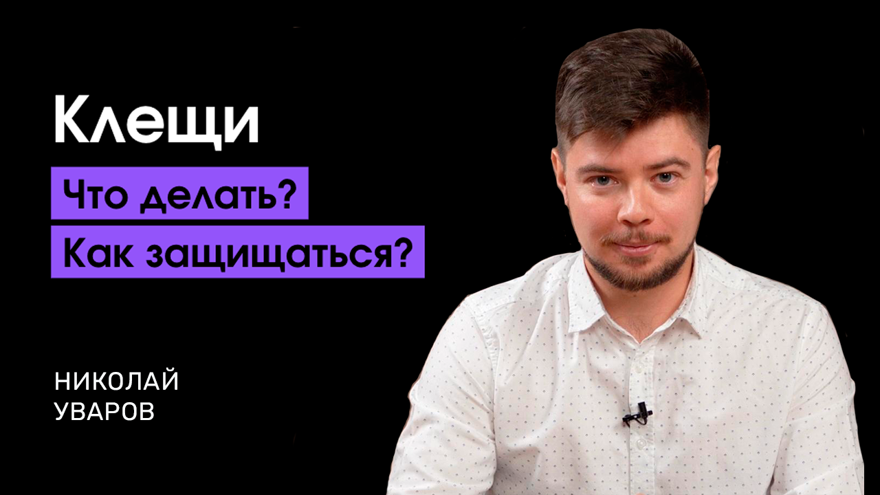 Клещи. Что делать? Как защищаться?